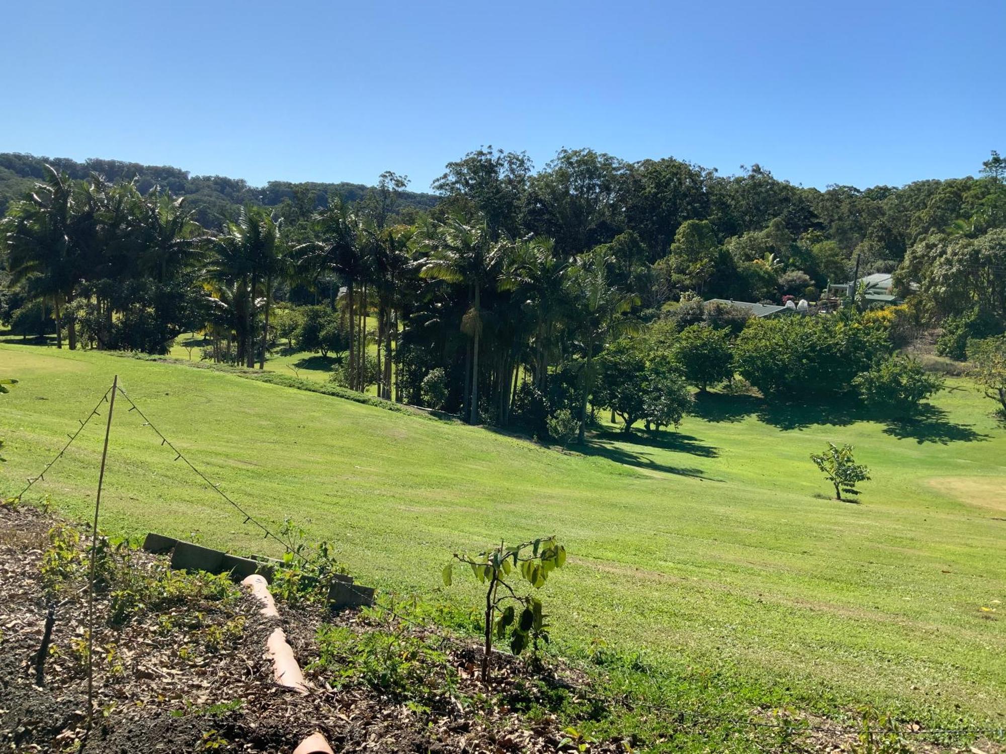Sunshine Coast Retreat Your Own Private Golf Course Diddillibah Zewnętrze zdjęcie