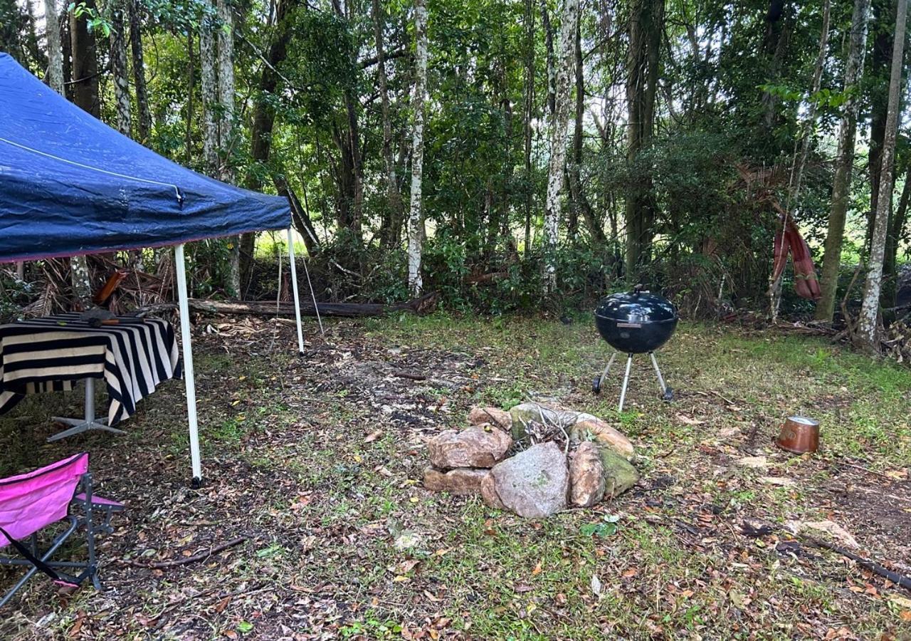 Sunshine Coast Retreat Your Own Private Golf Course Diddillibah Zewnętrze zdjęcie