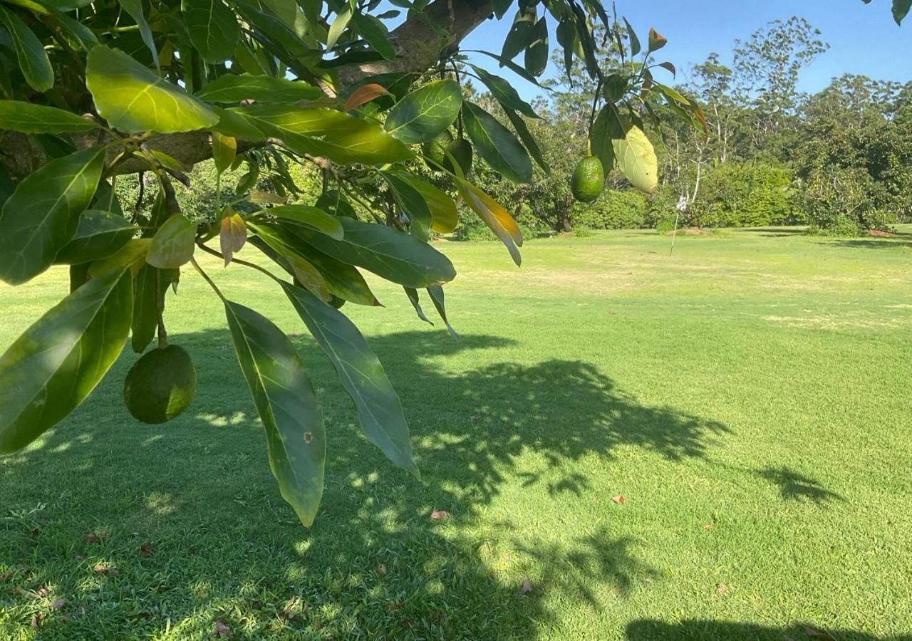Sunshine Coast Retreat Your Own Private Golf Course Diddillibah Zewnętrze zdjęcie