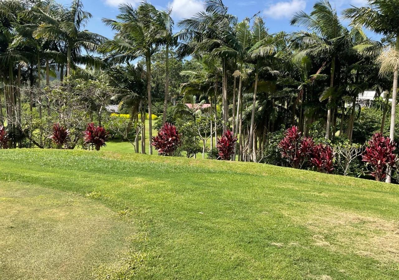Sunshine Coast Retreat Your Own Private Golf Course Diddillibah Zewnętrze zdjęcie