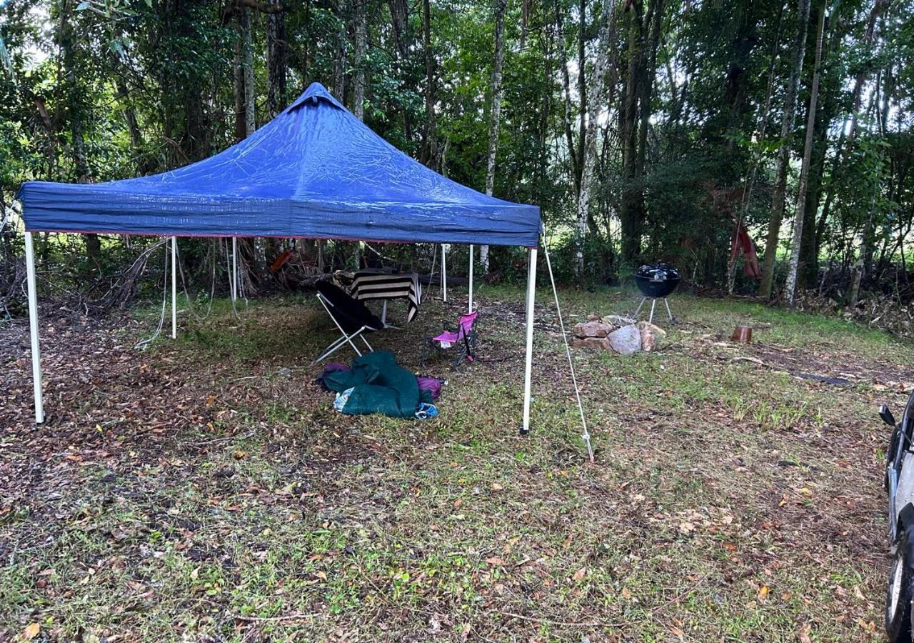 Sunshine Coast Retreat Your Own Private Golf Course Diddillibah Zewnętrze zdjęcie