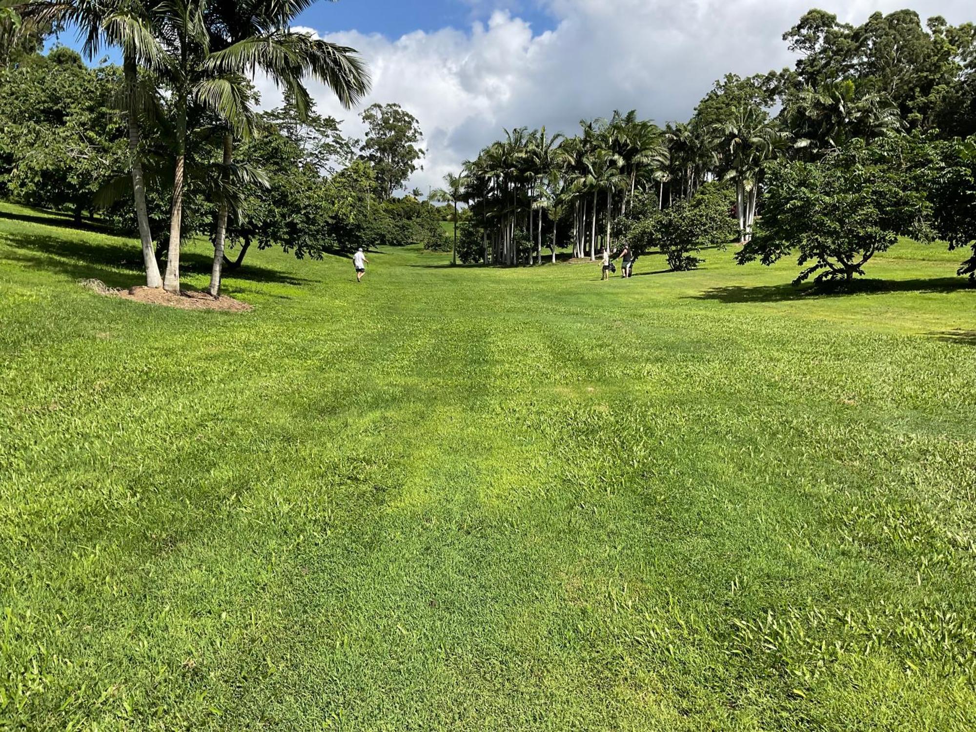 Sunshine Coast Retreat Your Own Private Golf Course Diddillibah Zewnętrze zdjęcie