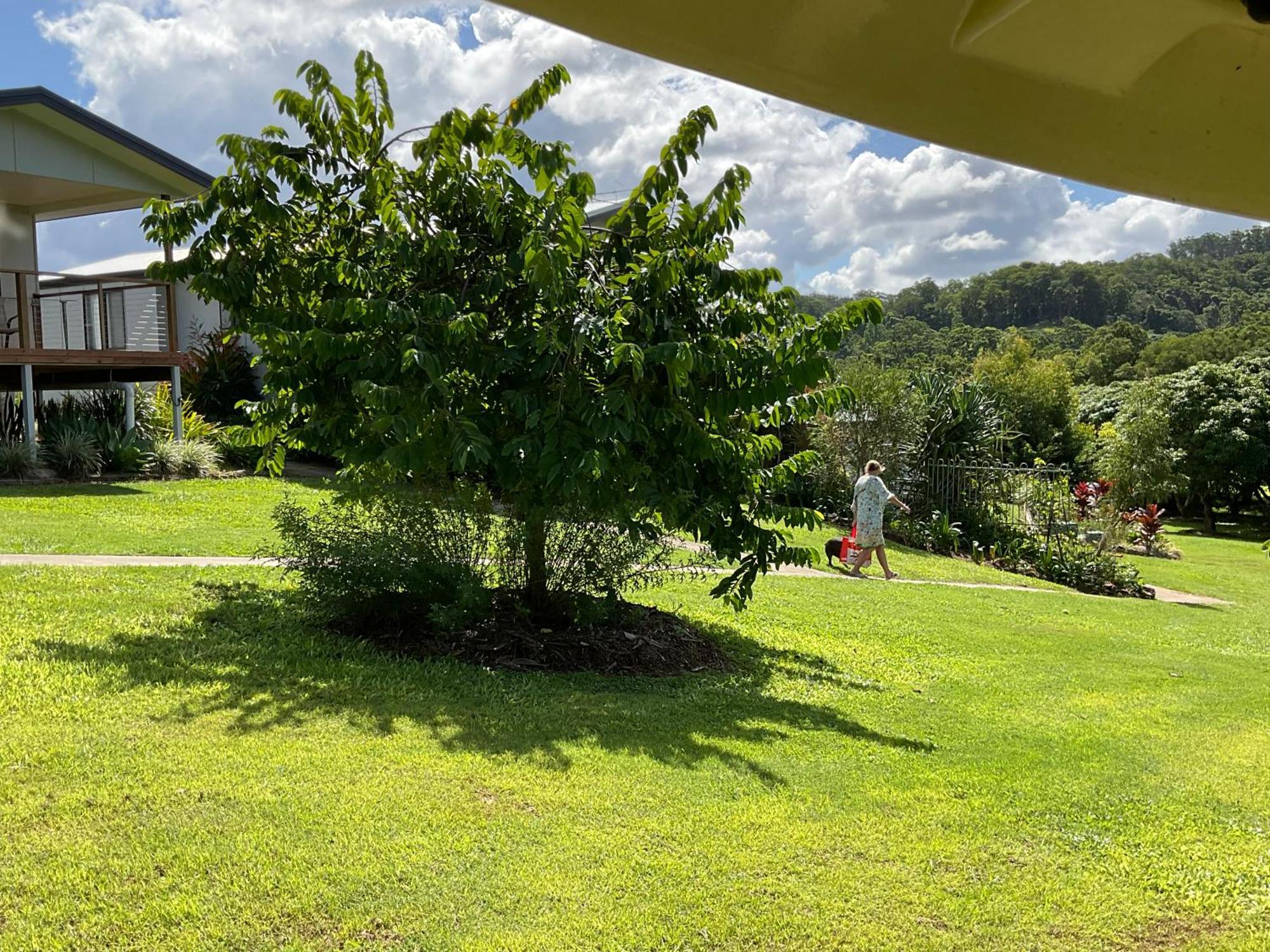 Sunshine Coast Retreat Your Own Private Golf Course Diddillibah Zewnętrze zdjęcie