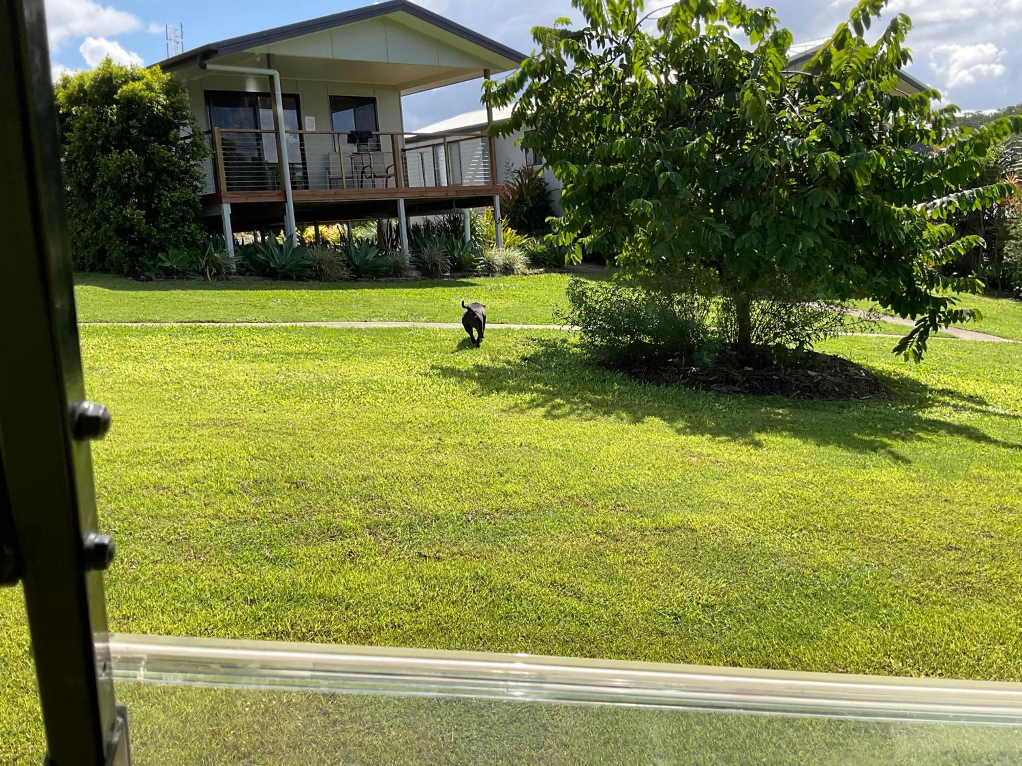 Sunshine Coast Retreat Your Own Private Golf Course Diddillibah Zewnętrze zdjęcie
