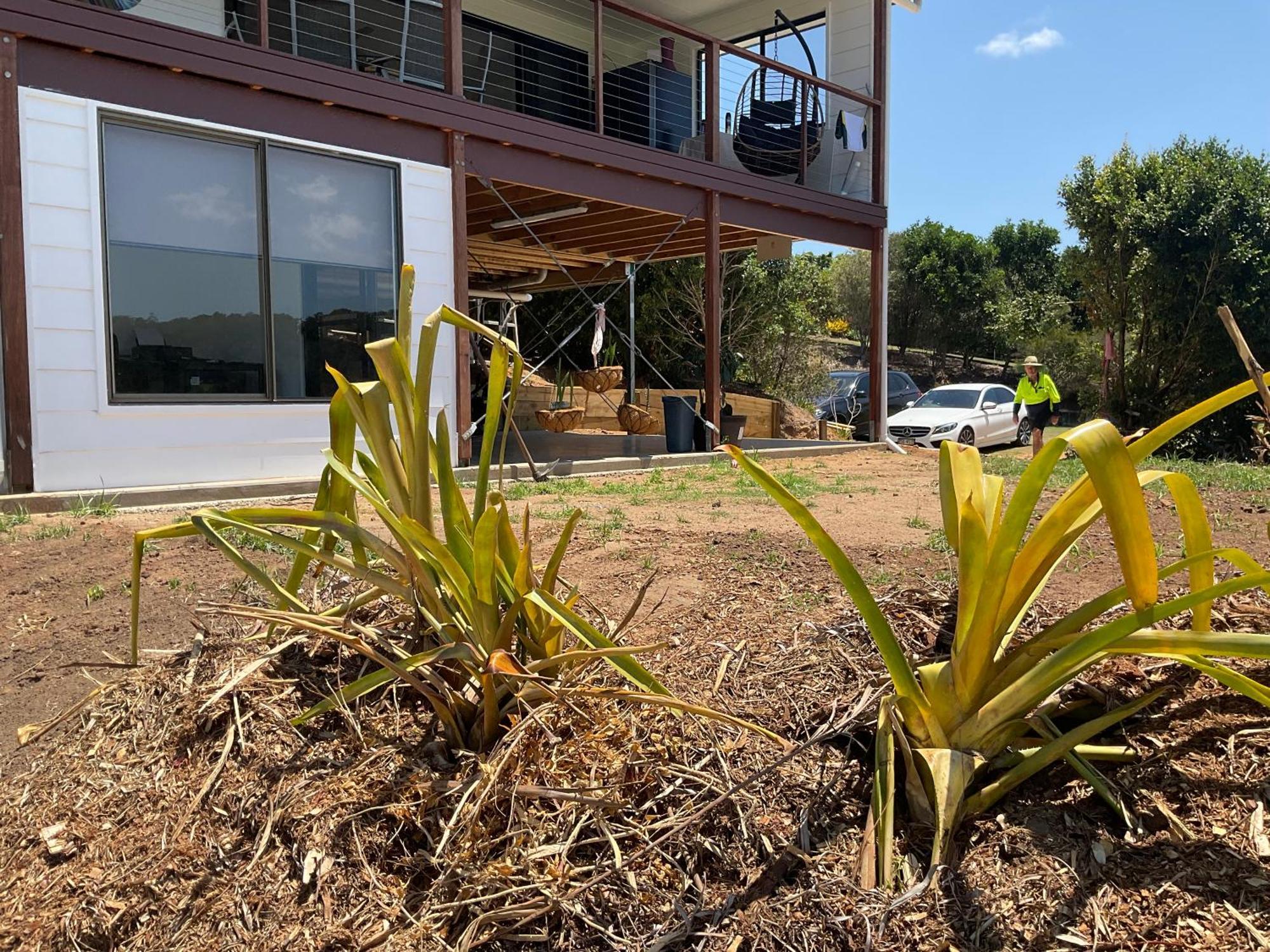 Sunshine Coast Retreat Your Own Private Golf Course Diddillibah Zewnętrze zdjęcie